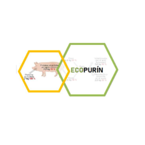 ECOPURÍN