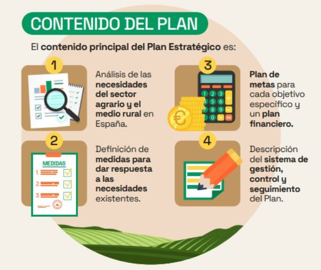 Actividades formativas e intercambio de conocimientos PEPAC